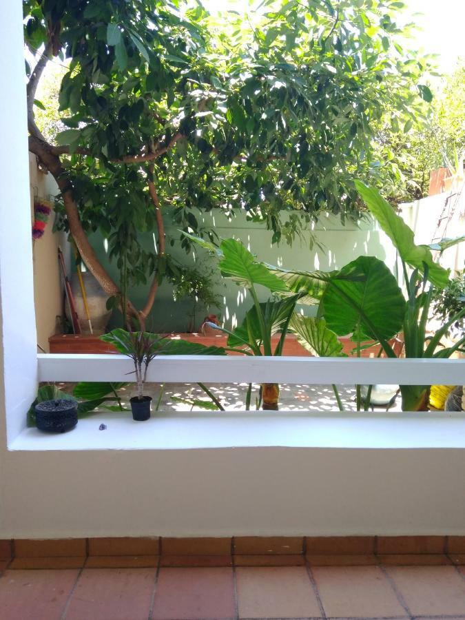 Zacharoula'S Home ハニア エクステリア 写真